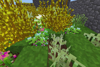 Nettles and Other Weeds