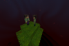 Skyhell Together