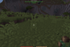 Item Hover Display