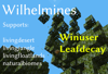 Winuser Leafdecay