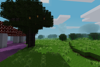 Instant Sapling Growth