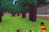 Peaceful Pixels for CTF