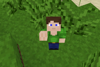 Bone-Based Player Animation