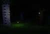 Fireflies