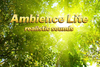 Ambience