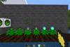 Resource Crops