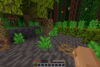 Classical Music