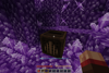 Mineclonia Goldberg Variations
