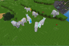 Pegasus