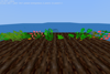 farming cv