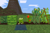 Crops