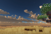 Skybox