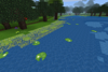 Algae