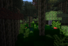 Swamps
