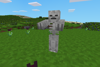 Skeleton